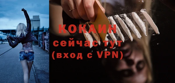 PSILOCYBIN Елабуга
