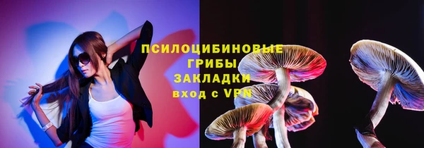 PSILOCYBIN Елабуга