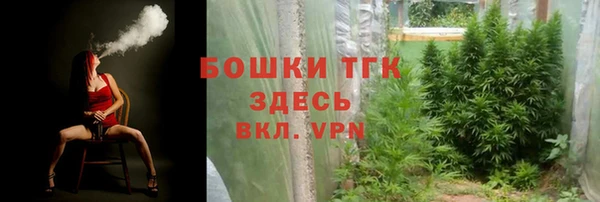 эйфоретик Елизово