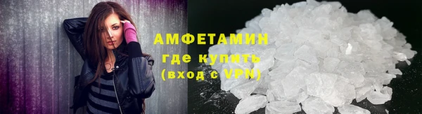 PSILOCYBIN Елабуга