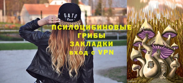 PSILOCYBIN Елабуга