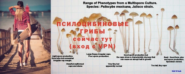 эйфоретик Елизово