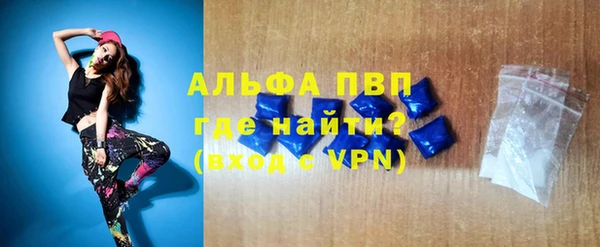 PSILOCYBIN Елабуга