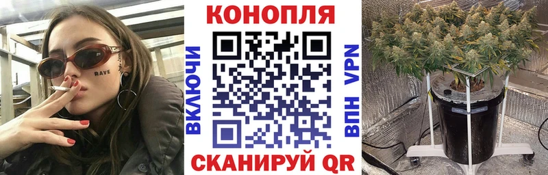 Бошки Шишки MAZAR  Купить где  Приозерск 